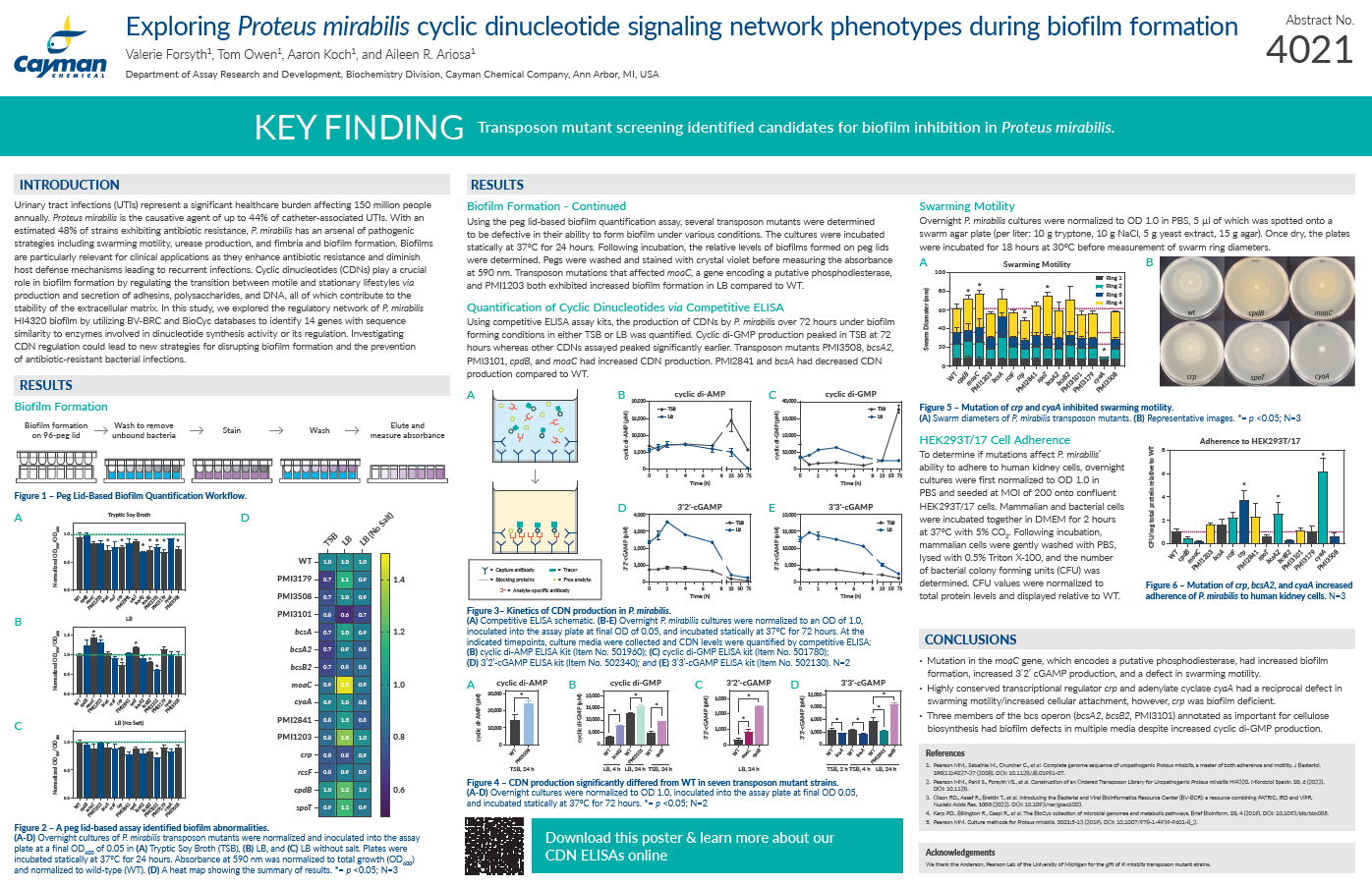 Exploring <em>Proteus mirabilis</em> Cyclic Dinucleotide Signaling Network Phenotypes During Biofilm Formation<br>